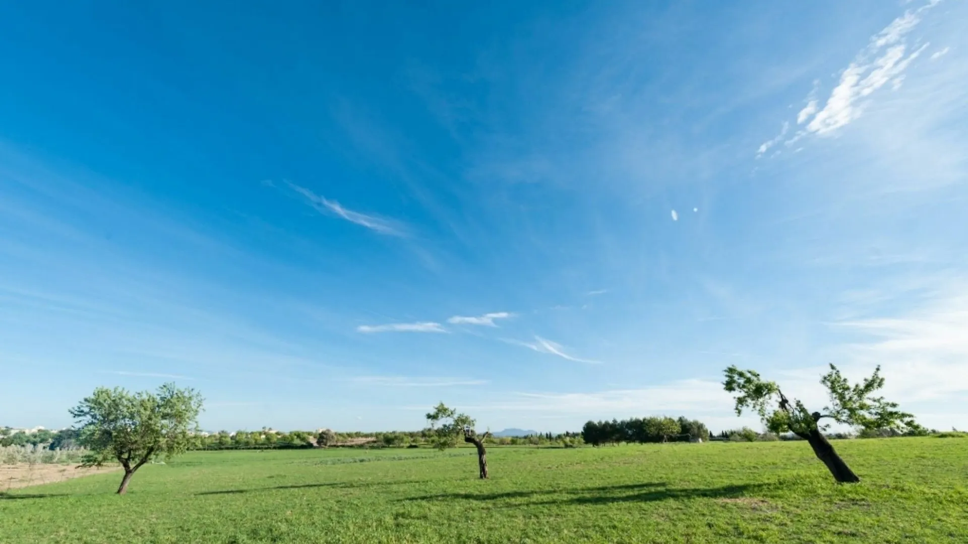 אינקה Villa Granja 0*,  ספרד