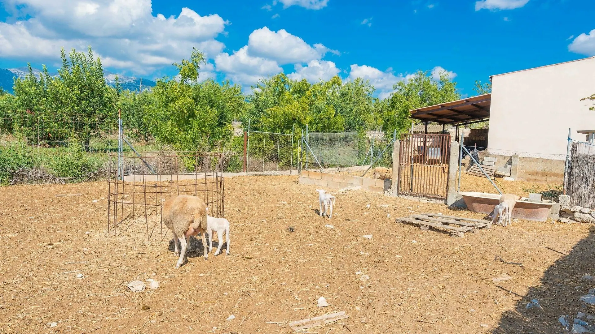 אינקה Villa Granja